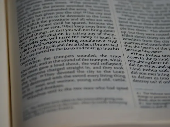 Casino Grand Eagle Support